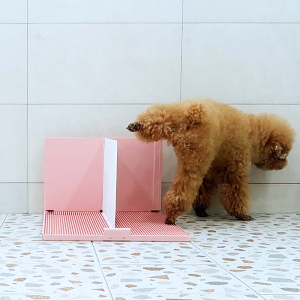 Dogtoc Toilet Tray Partition (for male)