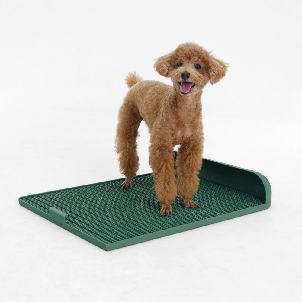 Dogtoc Potty Training Toilet Tray