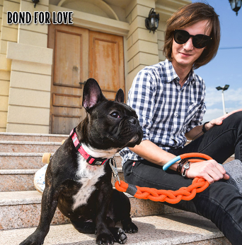 Bond For Love Harness