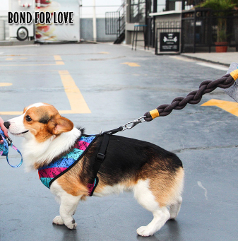 Bond For Love Harness