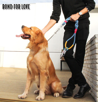 Bond For Love Harness