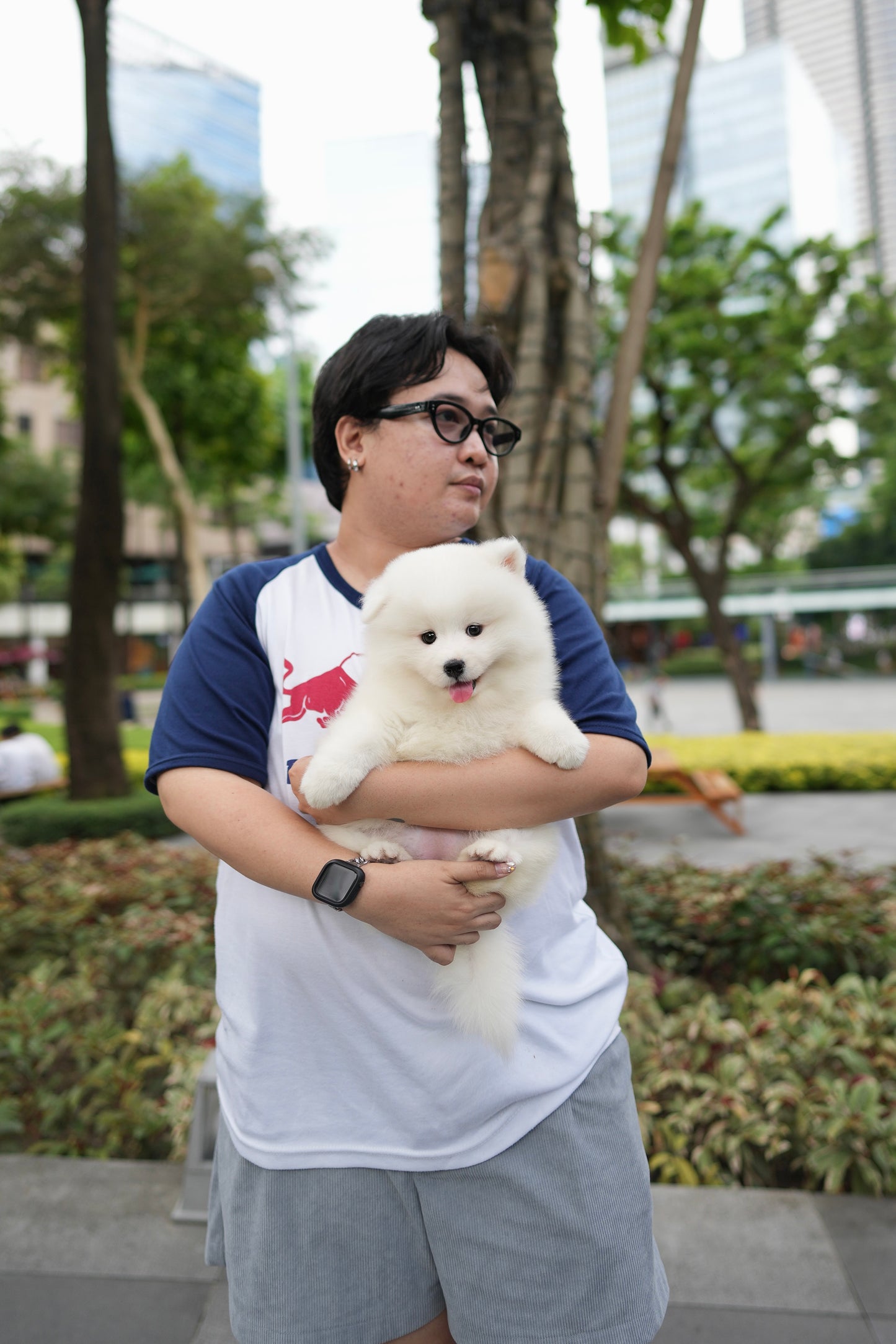 Skylette - Samoyed (White)