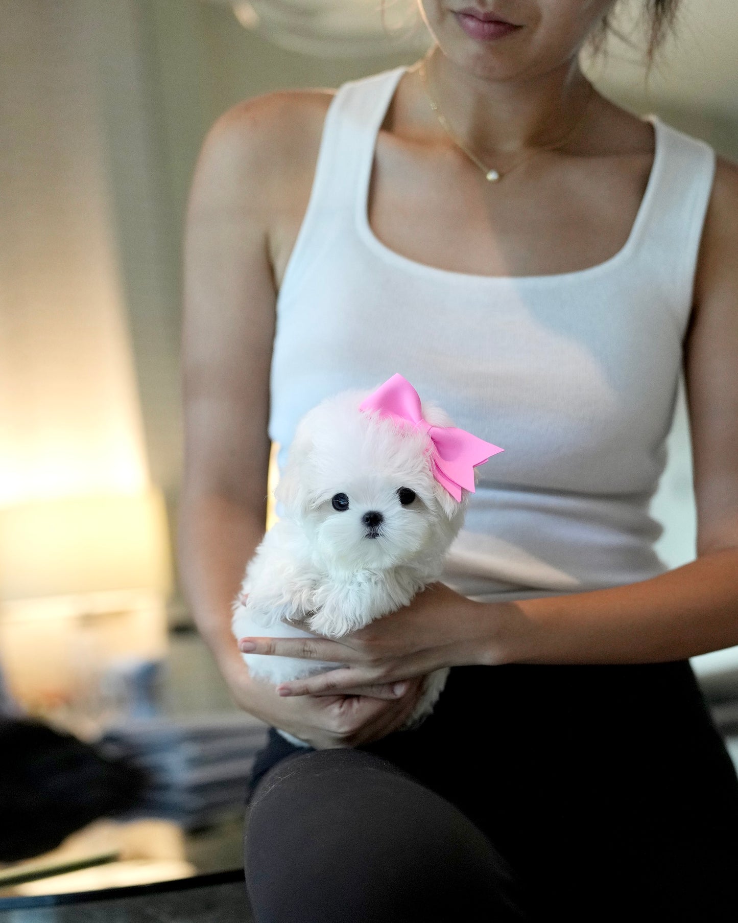 Olivia - Maltese (White)