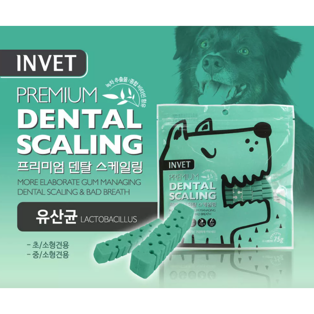 INVET Dental & Bad Breath Care Sticks (Lactobacillus)