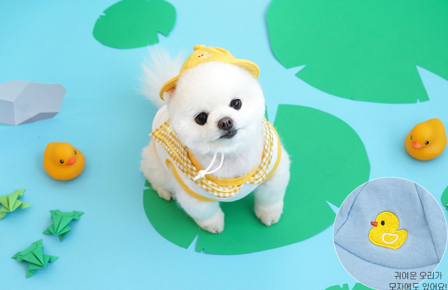 Parisdog Duck Kindergarten shirt Set
