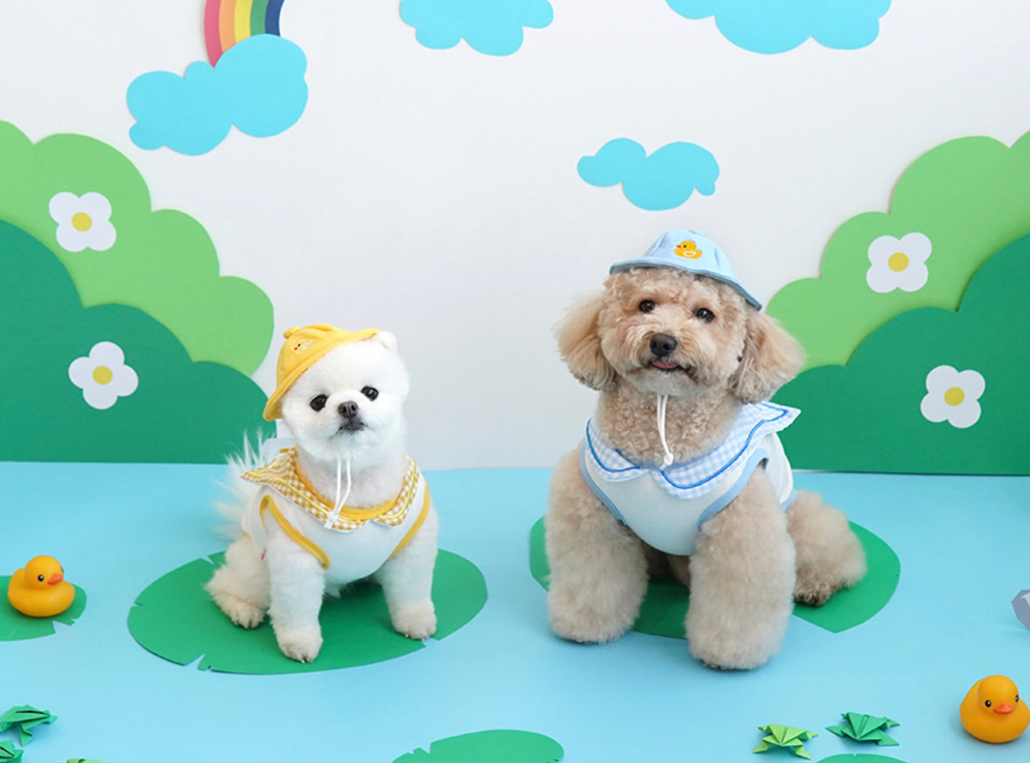 Parisdog Duck Kindergarten shirt Set