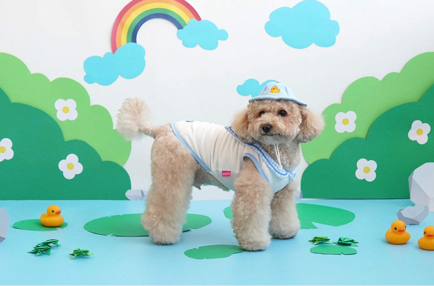 Parisdog Duck Kindergarten shirt Set