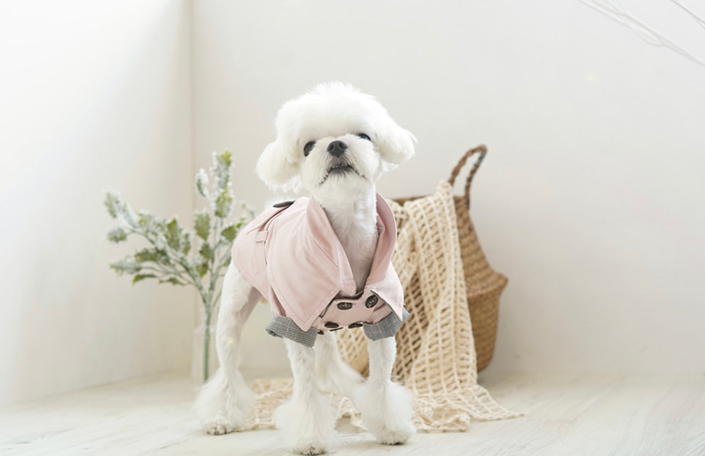 Im Dog Kaft Wrench Coat