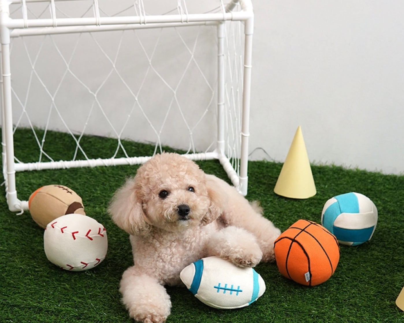 Parisdog Canverse Sports Ball