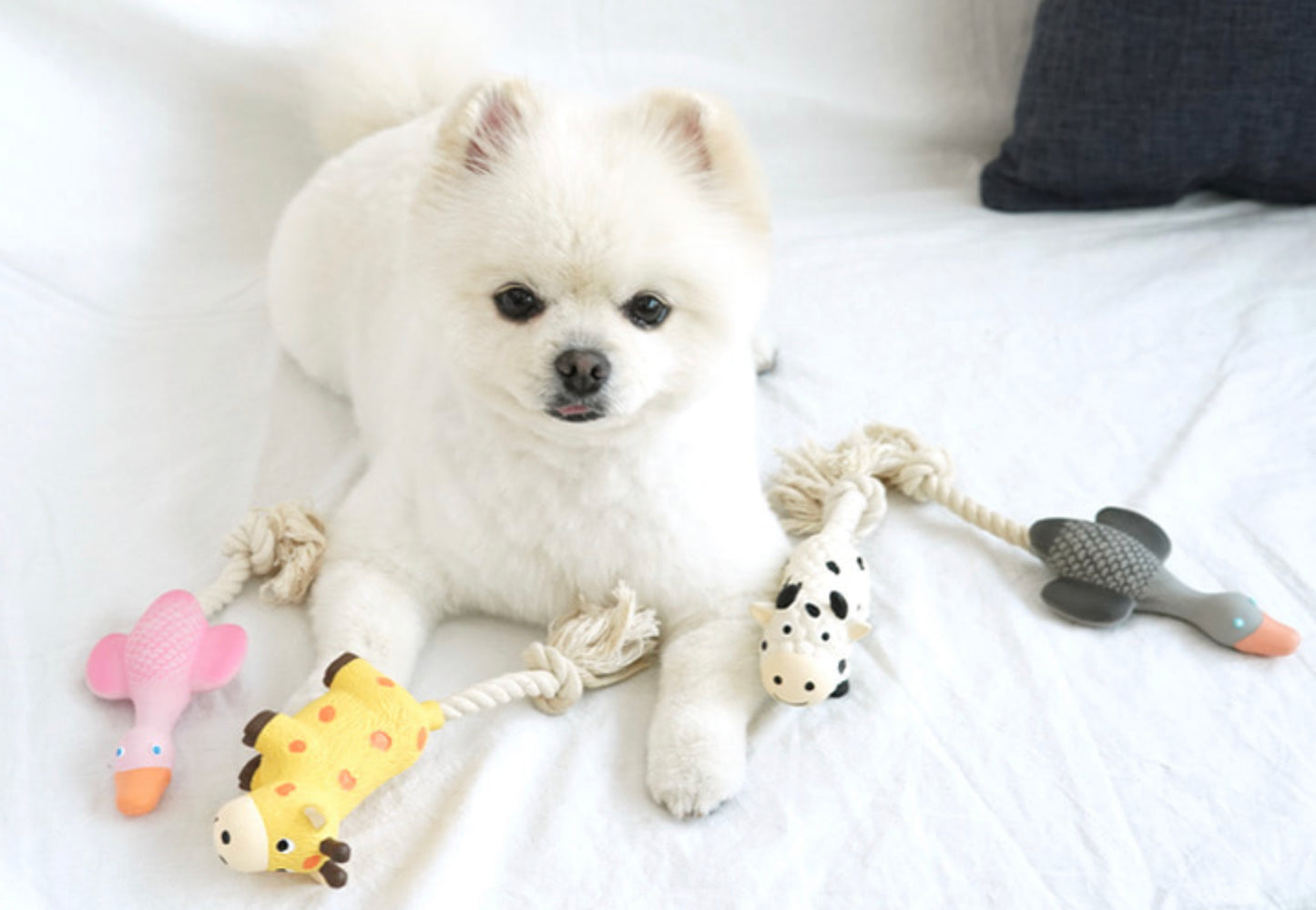 Parisdog Animal Rope Latex Toy
