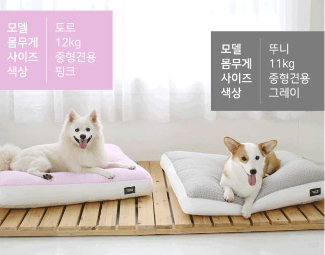 Chocopet House Ice Waffle Cushion White