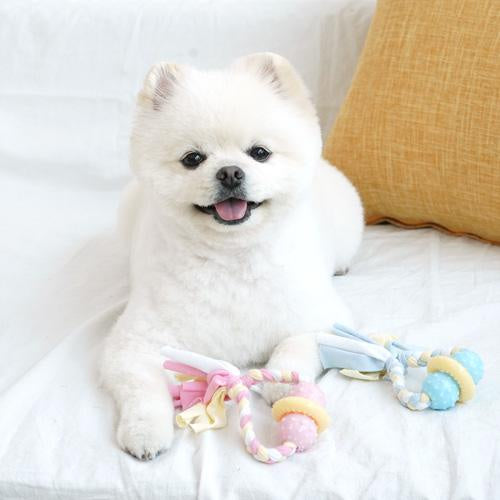 Parisdog Pastel Ball Rope TPR Toy