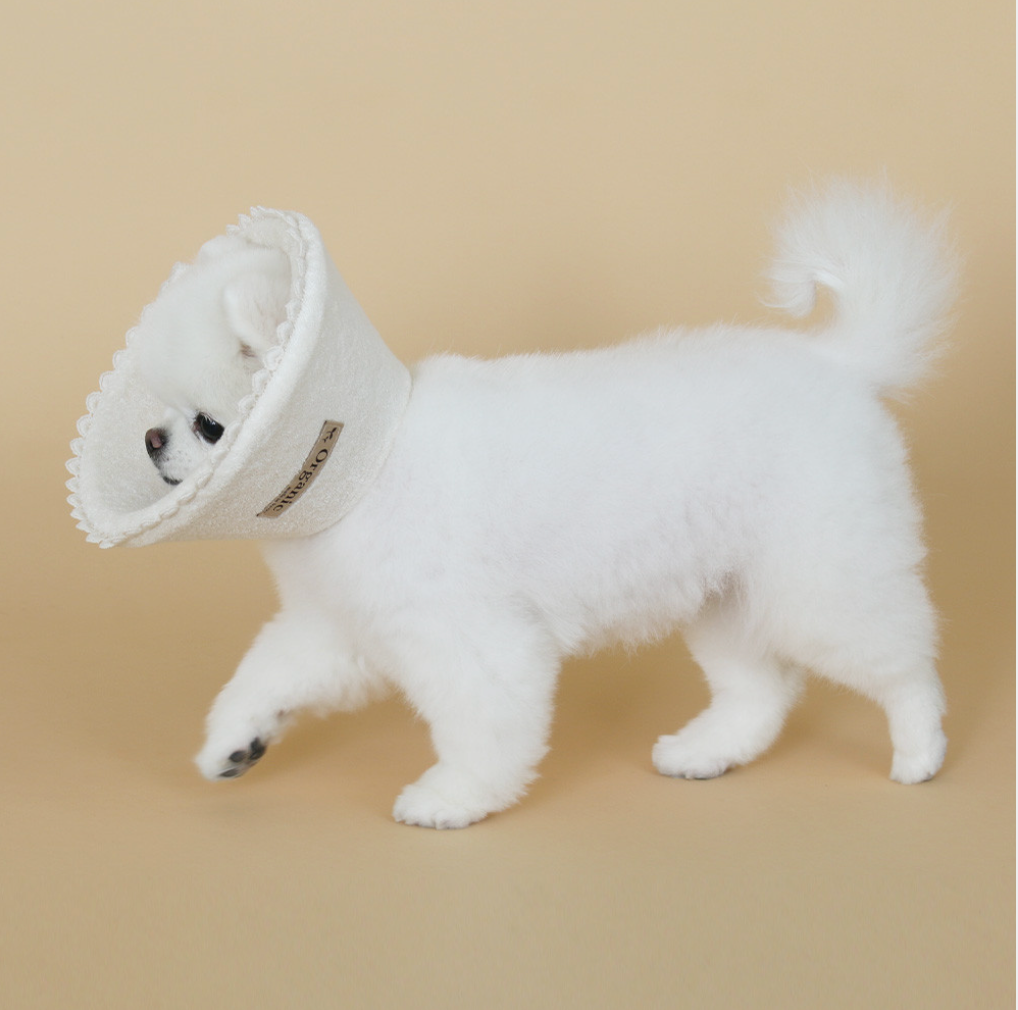 Chocopet House Organic Neck Cone