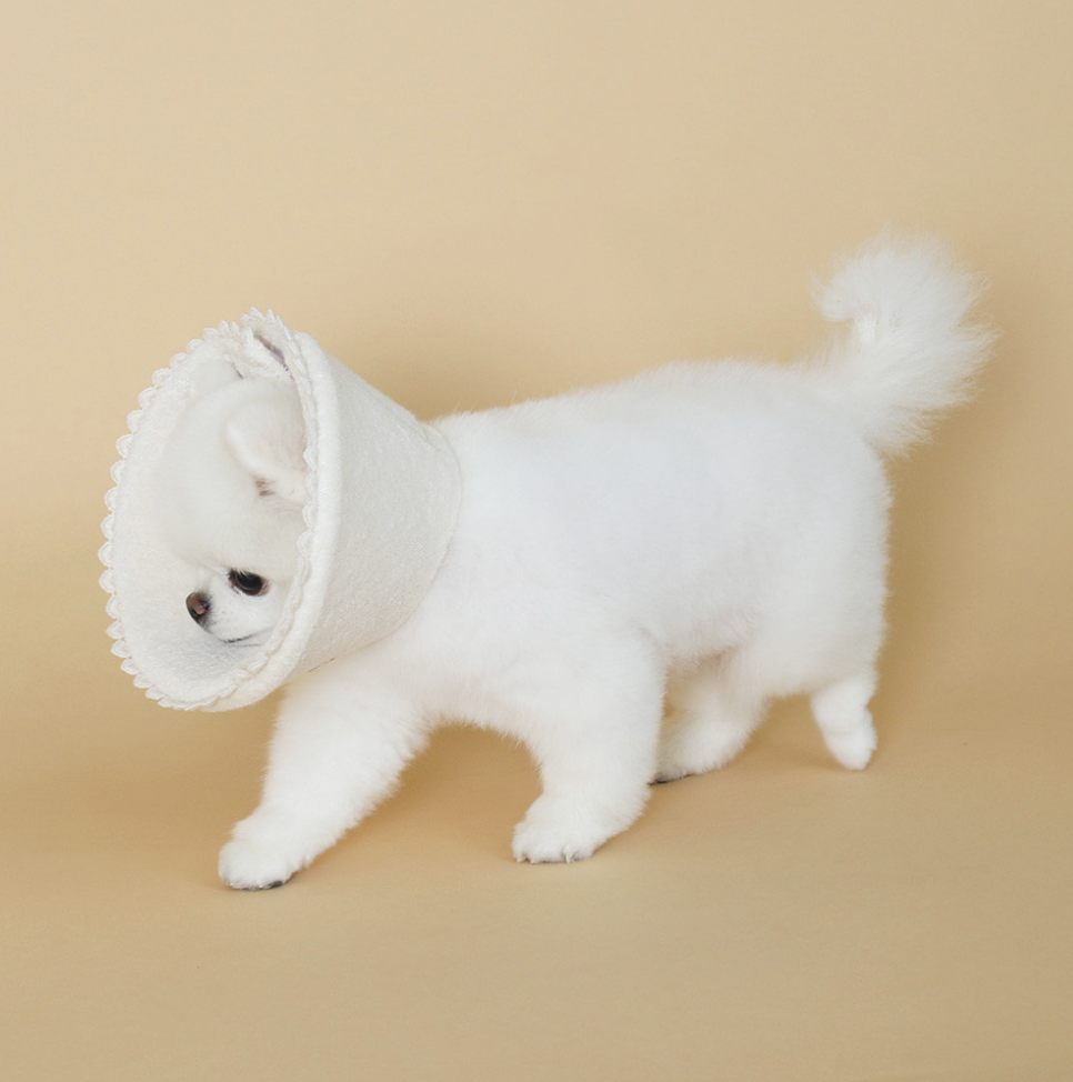 Chocopet House Organic Neck Cone