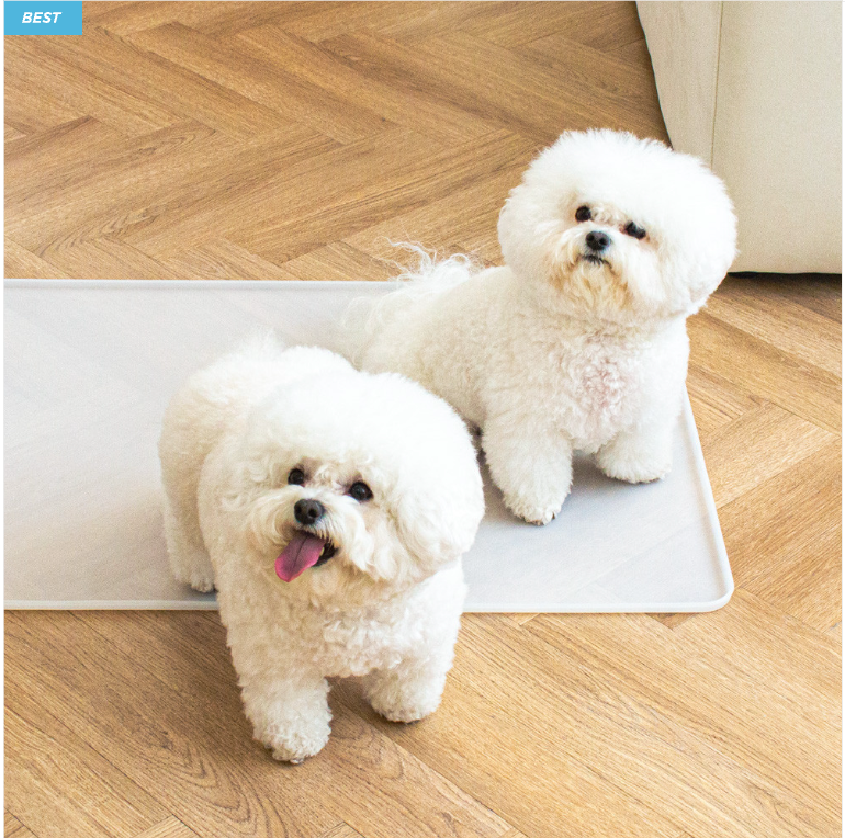 Chocopet House Perfect Toilet Mat