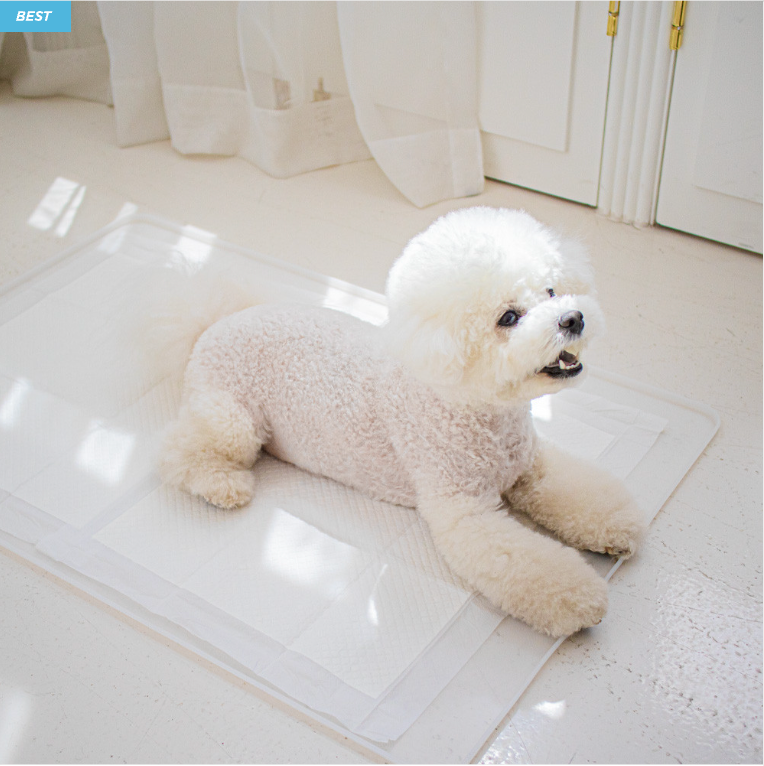 Chocopet House Perfect Toilet Mat