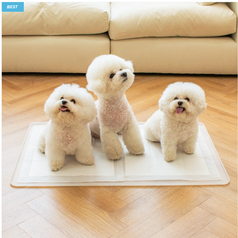 Chocopet House Perfect Toilet Mat
