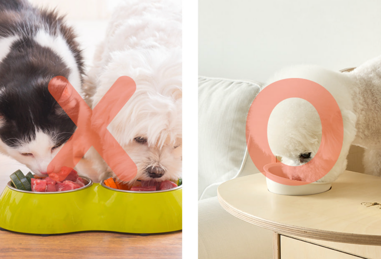 Petforyou Raised Pet Chair