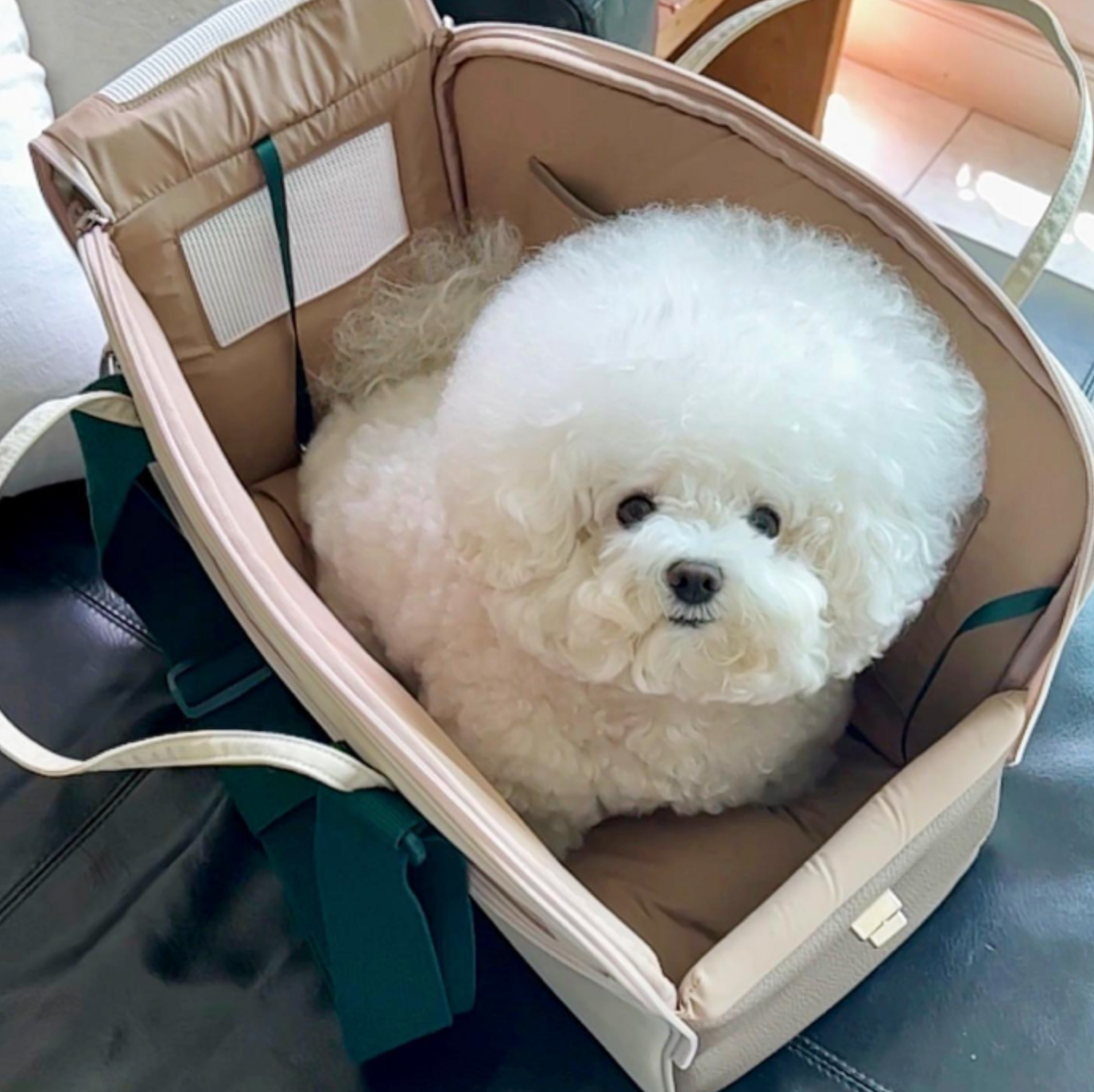 Milliong One Mile Bag (Vanilla Green)
