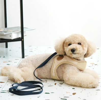 Paris Dog Striped Harness