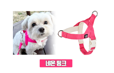 Mungtem Palette Collar Set