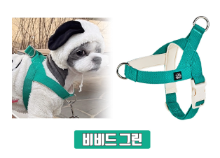 Mungtem Palette Collar Set