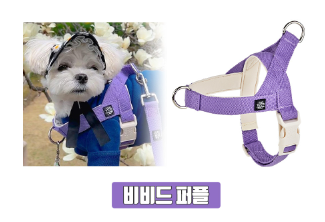 Mungtem Palette Collar Set