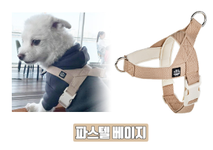 Mungtem Palette Collar Set