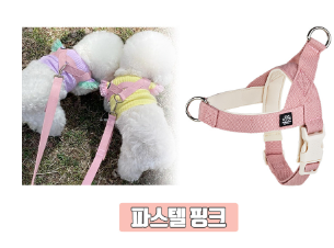 Mungtem Palette Collar Set
