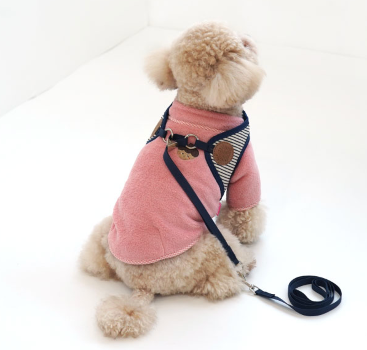 Paris Dog Striped Harness