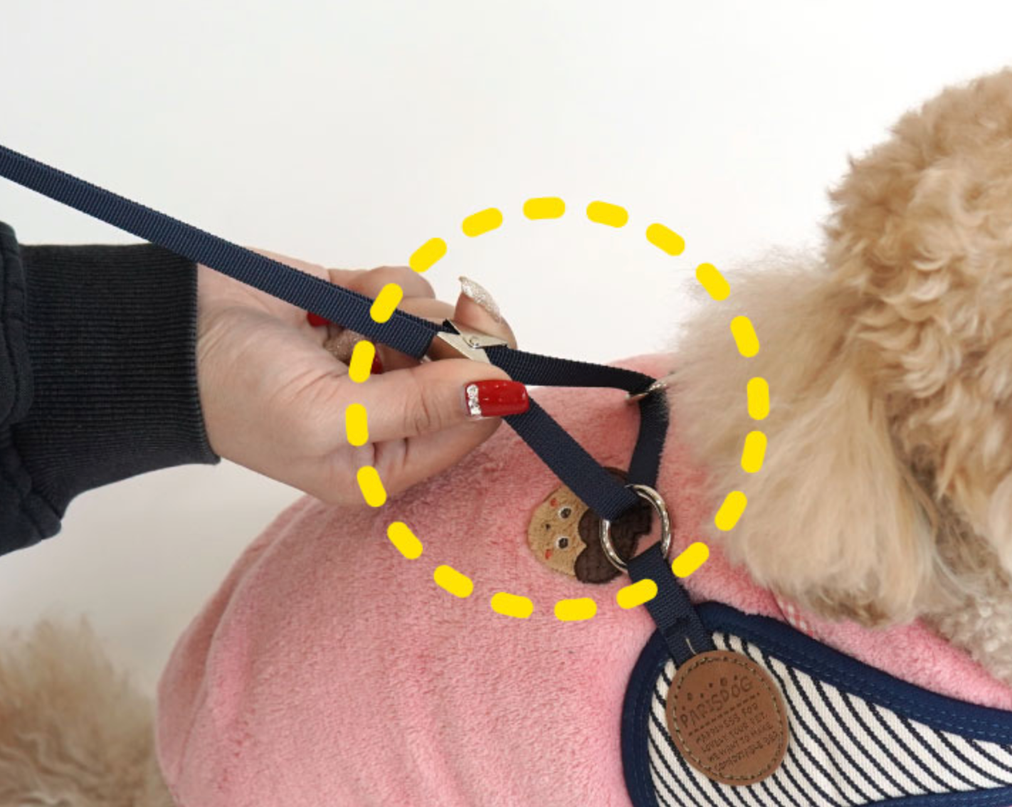 Paris Dog Striped Harness
