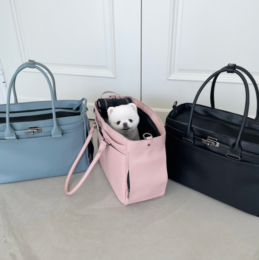 Meloni Leather Bag (Pink)