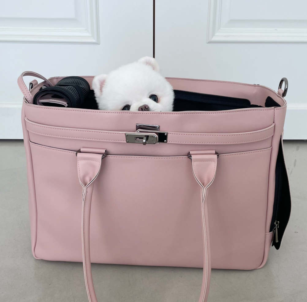 Pink leather bag on sale