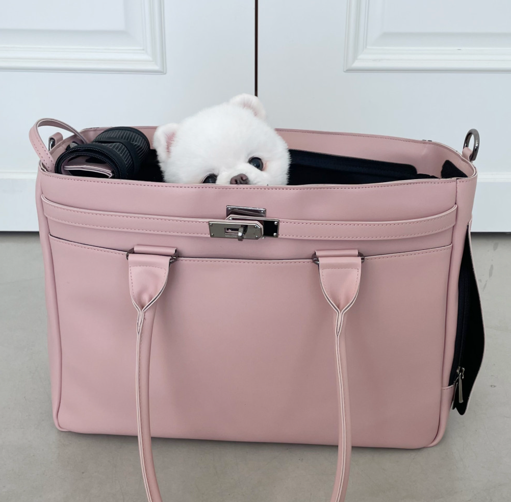 Meloni Leather Bag (Pink)