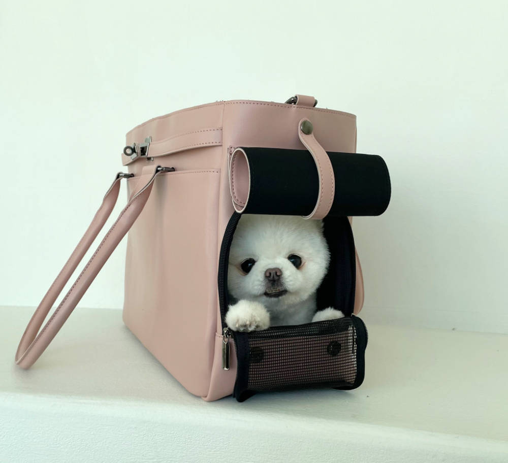Meloni Leather Bag (Pink)