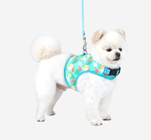 Parisdog Pineapple Harness