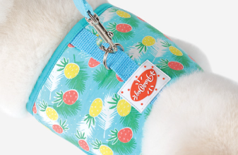 Parisdog Pineapple Harness