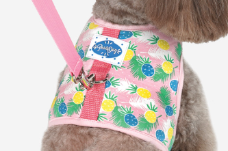 Parisdog Pineapple Harness