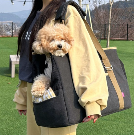 ParisDog In My Pet Bag (M)