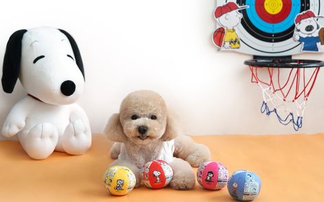 Paris Dog Peanuts Ball Toy