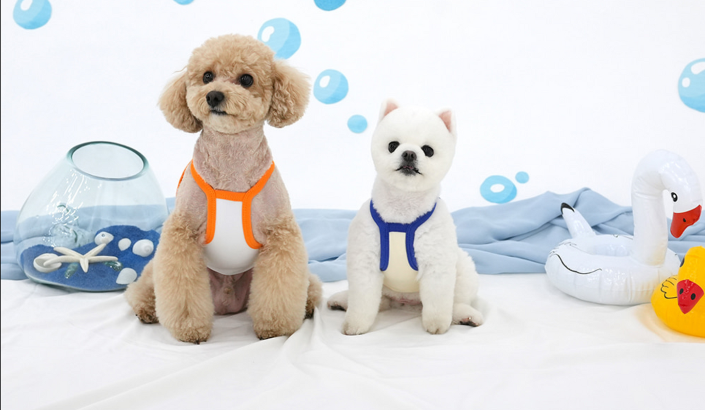 Peanuts Beach Cool Crop T / For Dog