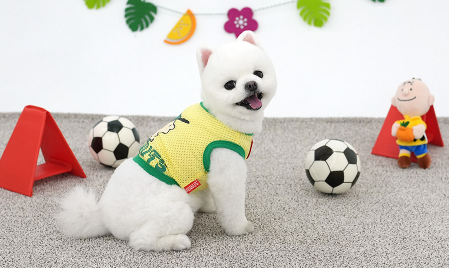 ParisDog Peanuts Sporty Crop T