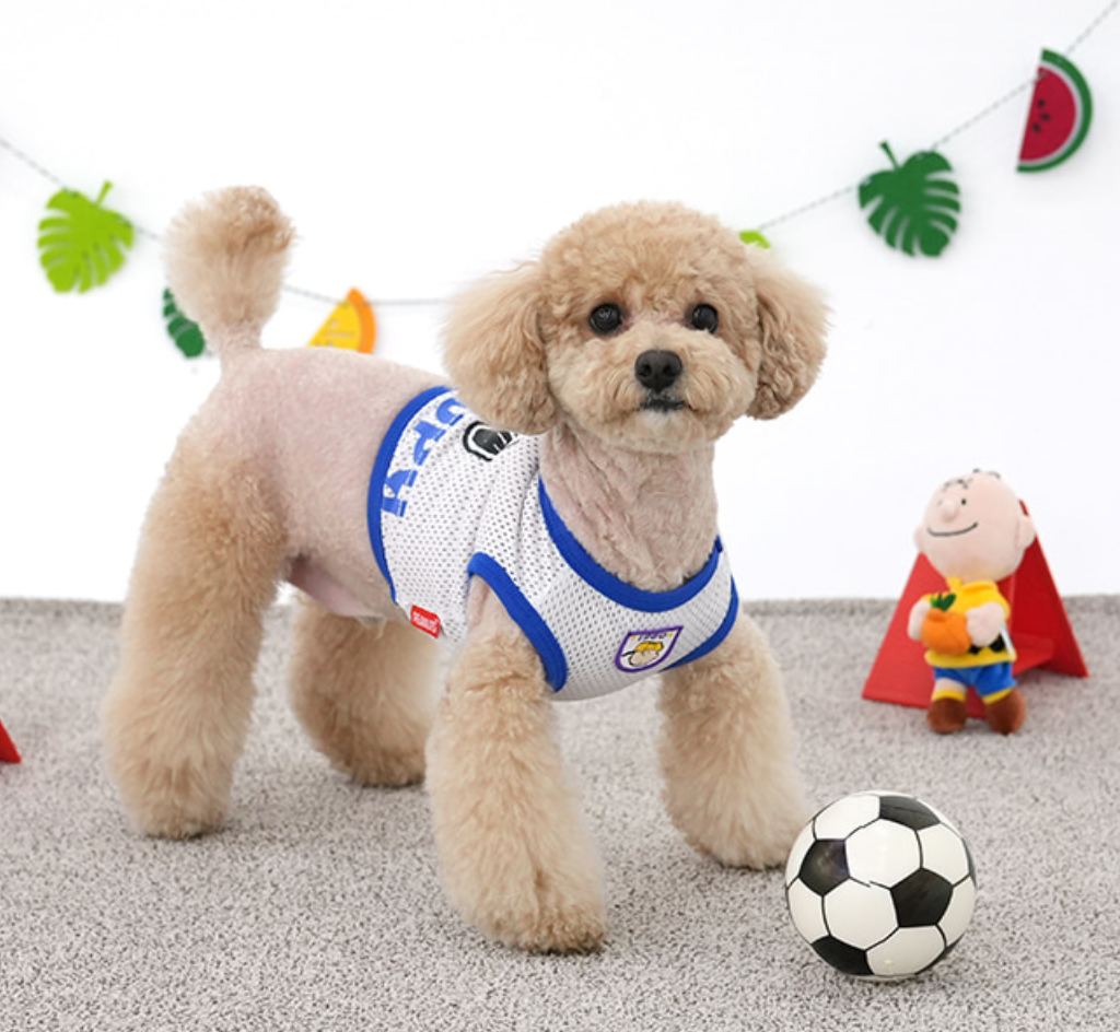 ParisDog Peanuts Sporty Crop T