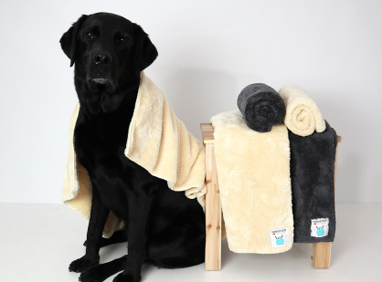 Chocopet House Monster Towel