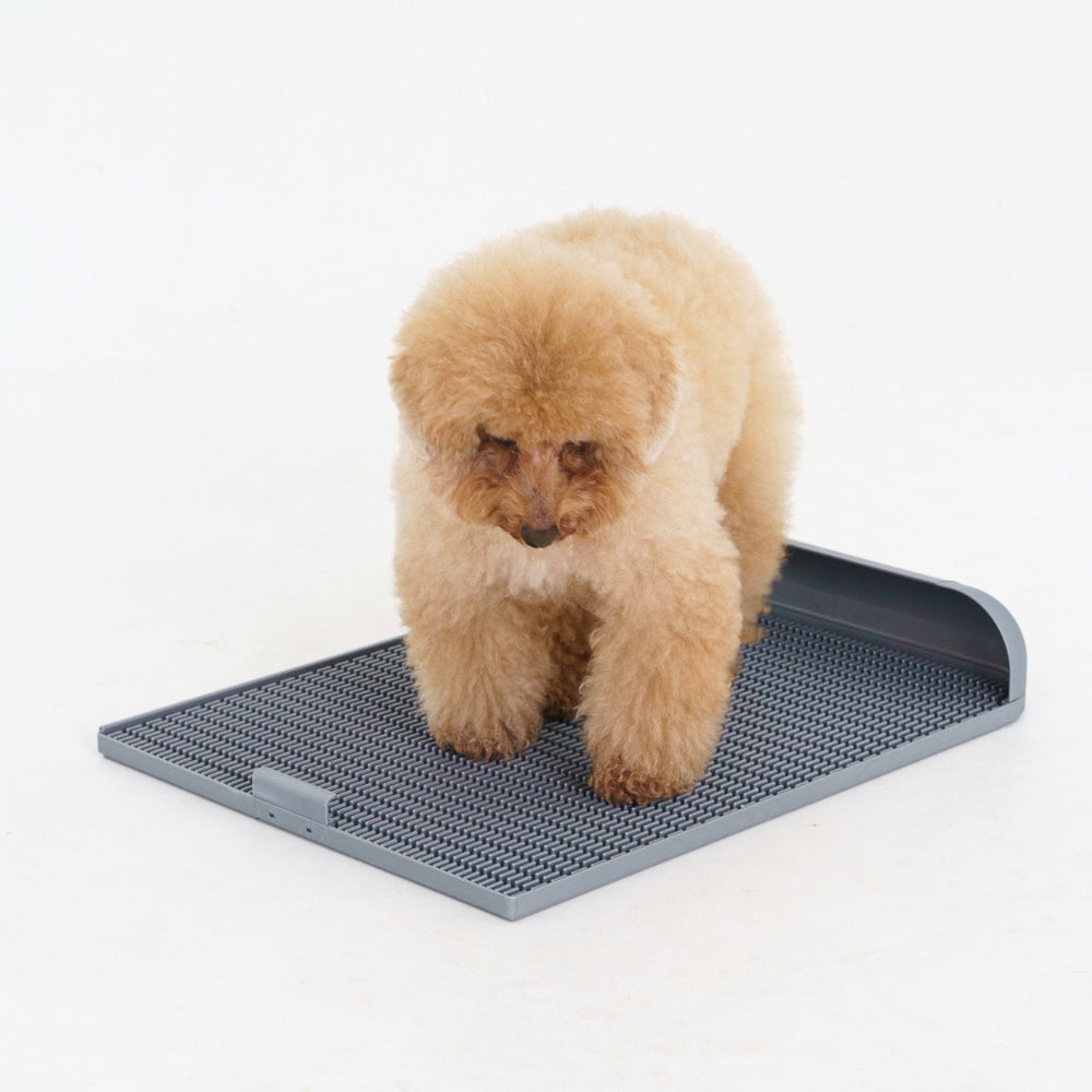 Dogtoc Potty Training Toilet Tray