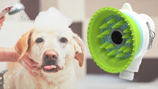 JW Pet Healing Shower Head