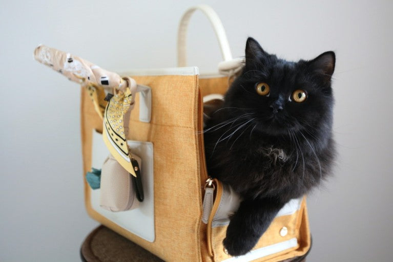 Milliong Belle Tote (Sunflower)