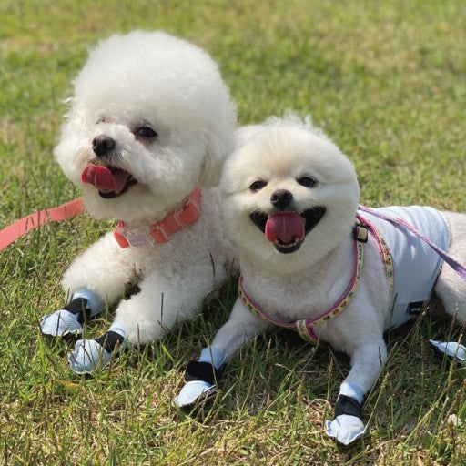 WOW Disposable Shoes / Non-Slip Waterproof Paw Protector