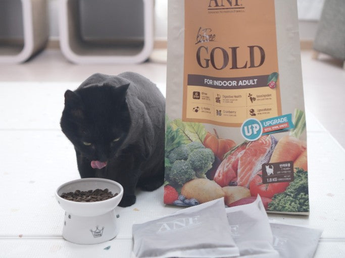 ANF 6 Free GOLD for Cat