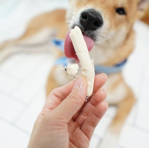 Bowwow Mozzarella Cheese Stick
